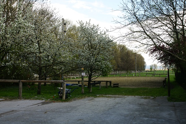 Pferdehof Hums kleiner Reitplatz