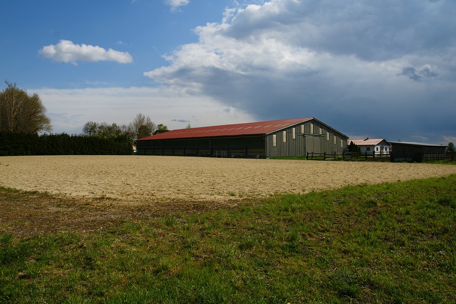 Pferdehof Hums Reitplatz gross  und Halle